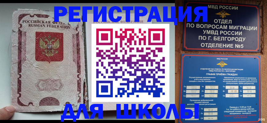 прописка гарантия в Полярных Зорях
